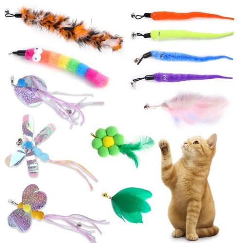 Interactive cat game - cat,